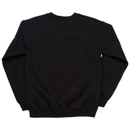 Mens Tailgate Philadelphia Fly Field Crew Neck Sweatshirt