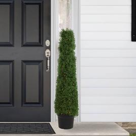 Northlight Seasonal 4ft. Pre-Lit Artificial Boxwood Topiary Tree