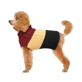 Best Furry Friends Cider Stripe Pet Sweater