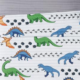 My World Dino Tracks Quilt Set