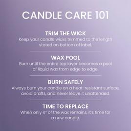 Yankee Candle® 14.25oz. Dried Lavender Oak Pillar Candle