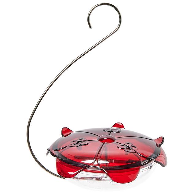 Droll Yankees All In One Saucer Hummingbird Feeder