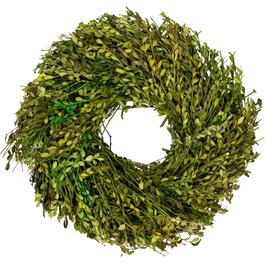 Northlight Seasonal 15in. Artificial Green Foliage Spring Wreath