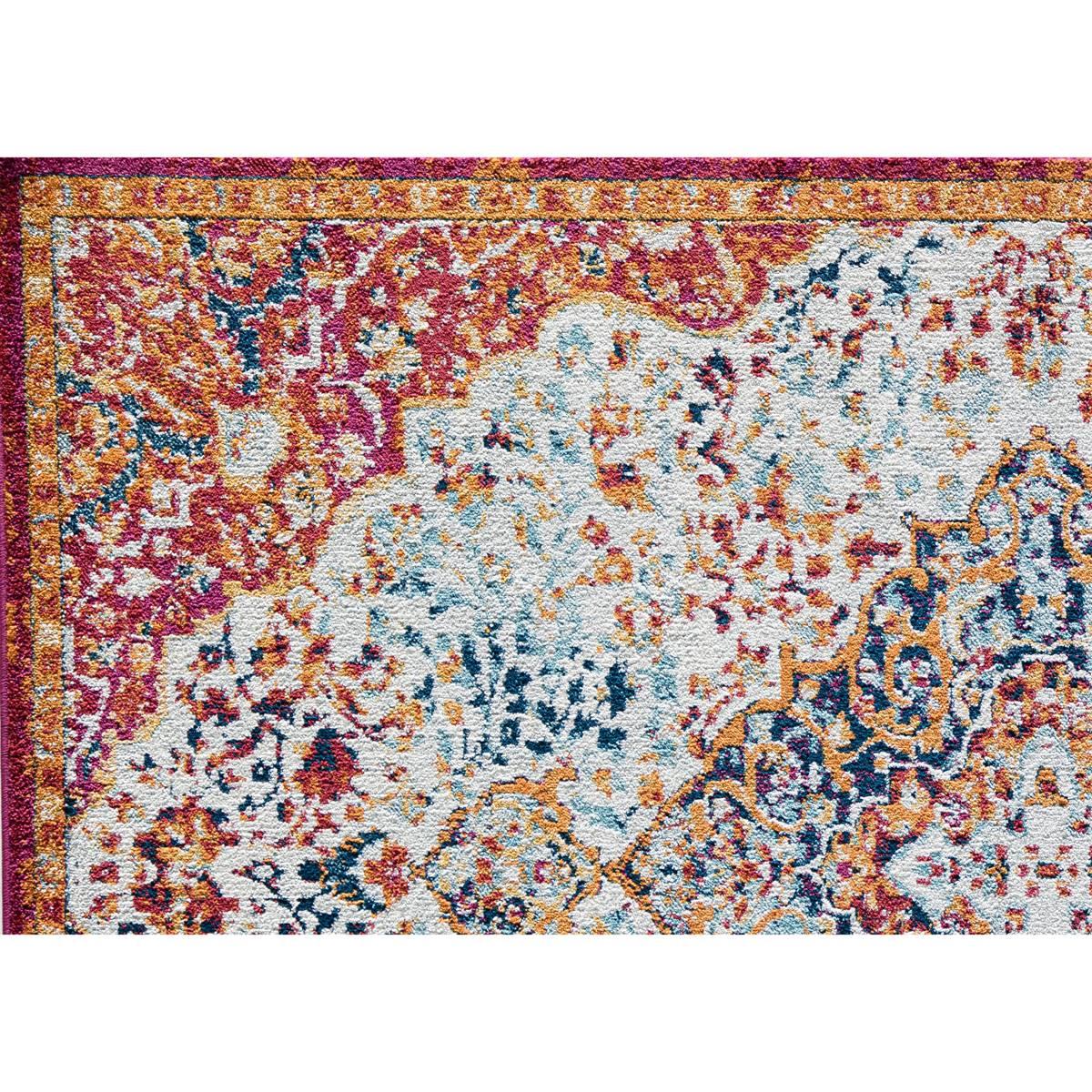 Rugs America™ Hailey Amelia Blush Abstract Vintage Area Rug