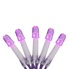 Northlight Seasonal 16ft. Purple LED Net Style Christmas Lights