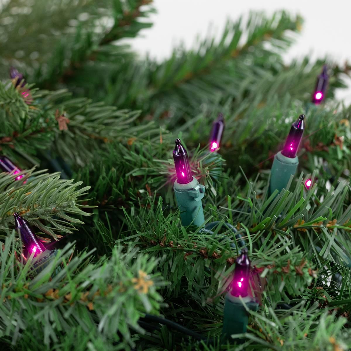 Northlight Seasonal 10ft. Purple Christmas Lights - Green Wire