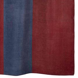 Avanti Texas Flag Shower Curtain