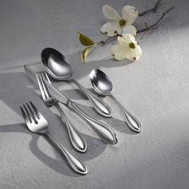 Oneida American Harmony 20pc. Everyday Flatware Set
