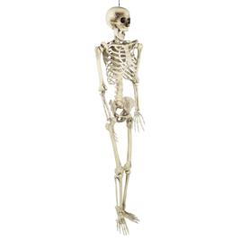 Northlight Seasonal 5ft. Life Size Skeleton Halloween Decoration