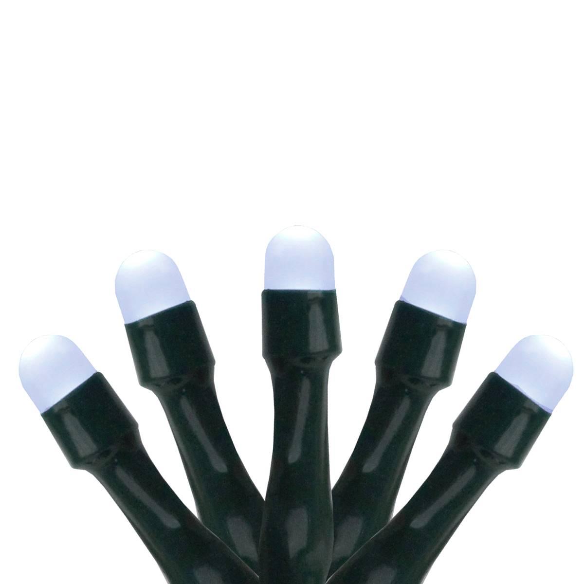 Northlight Seasonal 7.25ft. LED Micro Rice Christmas Lights