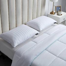 Beautyrest® Medium Firm 500TC 2pk. Goose Feather Down Pillow