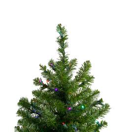 Northlight Seasonal 18in. Pre-Lit Canadian Pine Christmas Tree