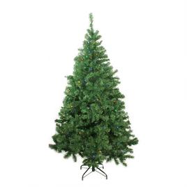 Northlight Seasonal 6ft. LED Pine Artificial Christmas Tree