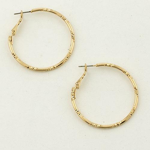 Freedom Nickel Free Leverback Hoop Earrings