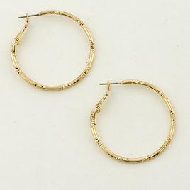 Freedom Nickel Free Leverback Hoop Earrings