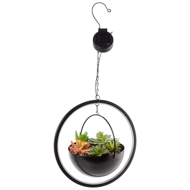 Hanging Solar Succulent Pot