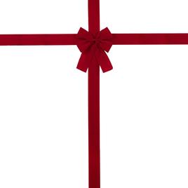 Northlight Seasonal 14in. Classic Red Velvet Christmas Door Bow