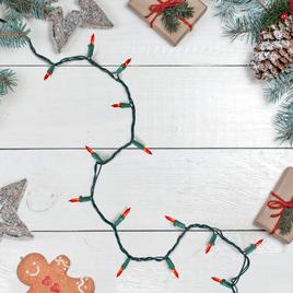 Northlight Seasonal 21.5ft. Orange Christmas Lights - Green Wire
