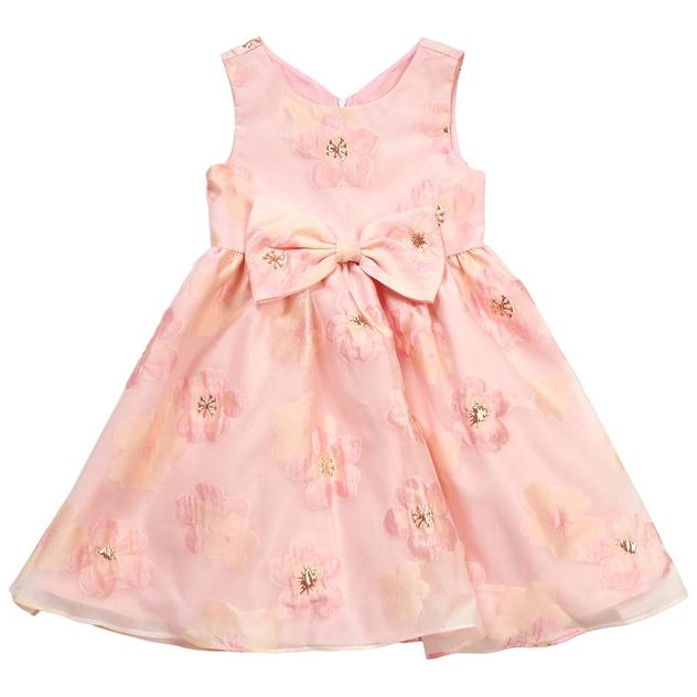 Girls (4-6x) Rare Editions Floral Burnout Organza Dress