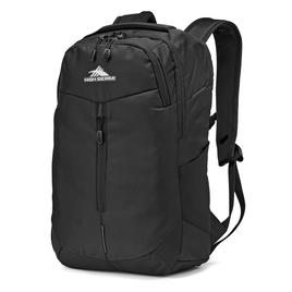 High Sierra® Swerve Pro Black Backpack