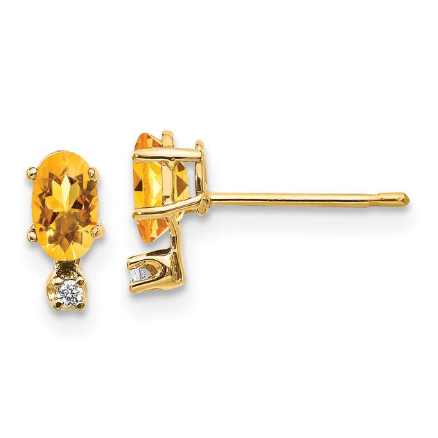 Gemstone Classics™ 14kt. Yellow Gold November Stud Earrings