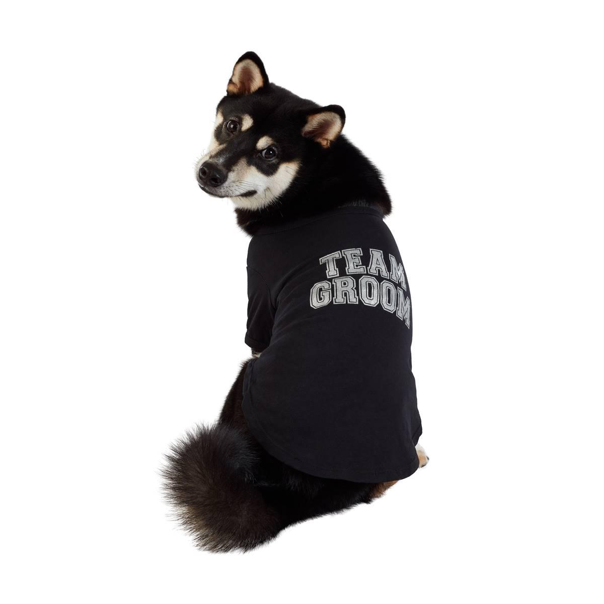 Best Furry Friends Team Groom Pet T-Shirt