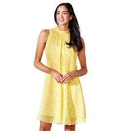 Womens Robbie Bee Sleeveless Embroidered Chiffon Shift Dress