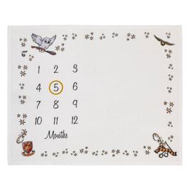 Warner Bros. Harry Potter Magical Moments Milestone Baby Blanket