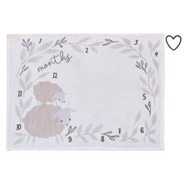 NoJo Together is Better Milestone Baby Blanket