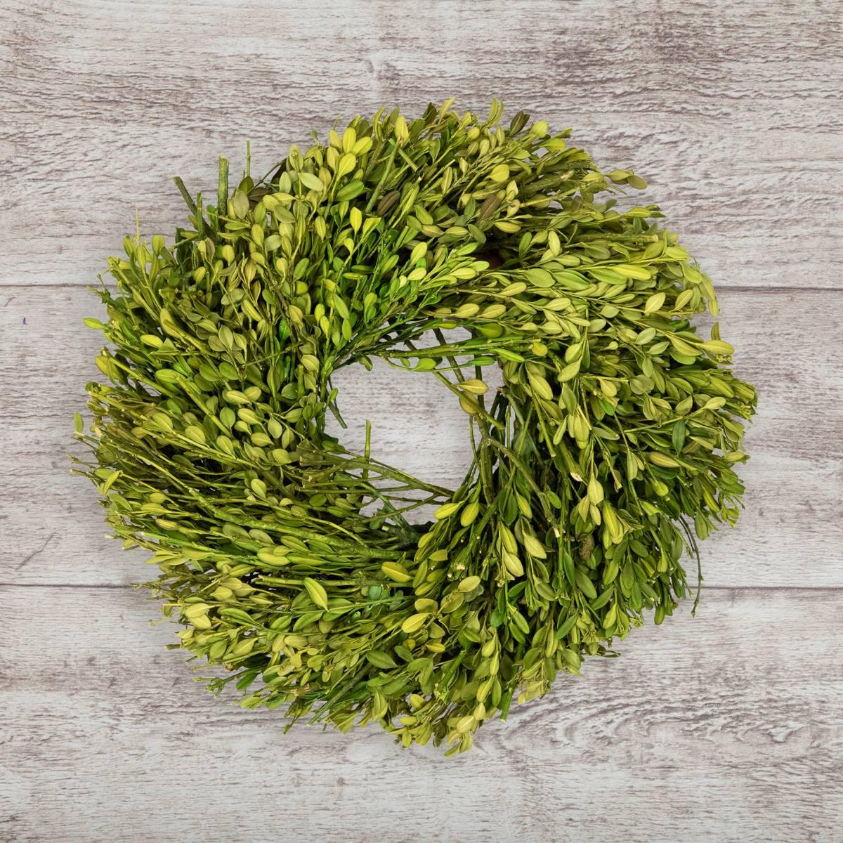 Northlight Seasonal 10in. Artificial Green Foliage Spring Wreath