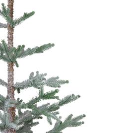 Northlight Seasonal 4ft. Artificial Frosted Pine Christmas Tree