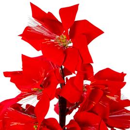 Northlight Seasonal 4in. Pre-Lit Poinsettia Christmas Tree