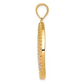 Gold Classics™ 14kt. Two-Tone Dragonfly Pendant