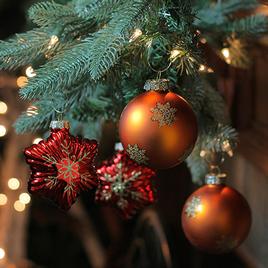 Northlight Shiny Glass Star and Ball Christmas Ornaments