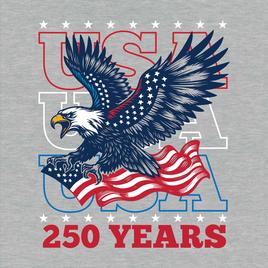 Mens Home of the Brave 250 Talon Flag Graphic Tee