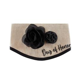 Best Furry Friends Rustic Floral Pet Collar