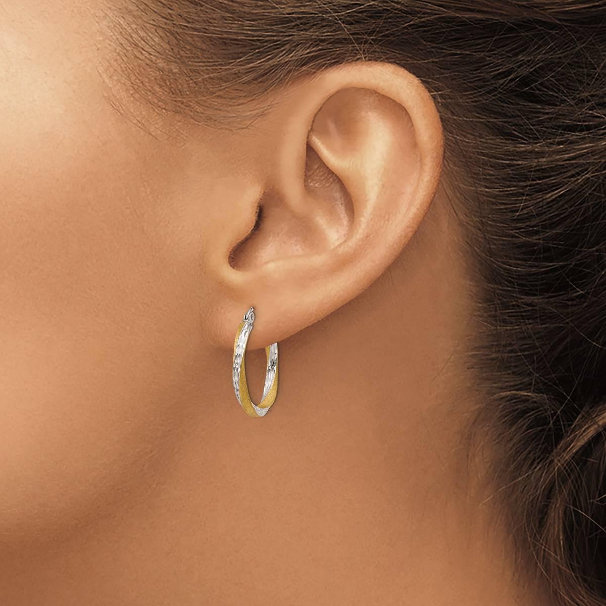 Gold Classics™ 14k Rhodium Twisted 20mm Hoop Earrings