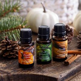 Airome 3pk. Festive Favorites Oil Set