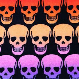 Betsey Johnson Skull Ombre Throw