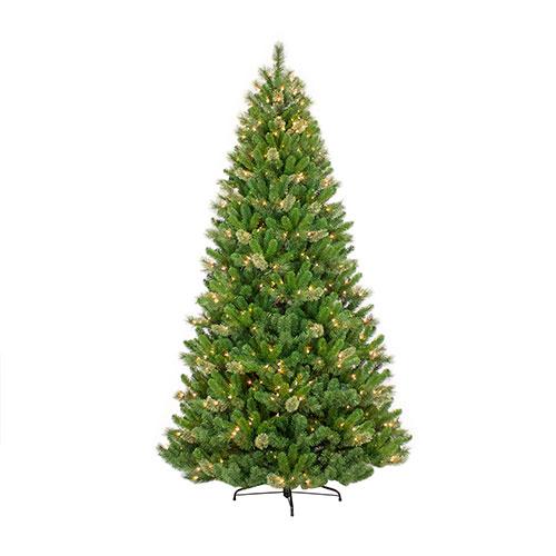 7.5ft. Tenton Pine Christmas Tree with 600 Clear Lights