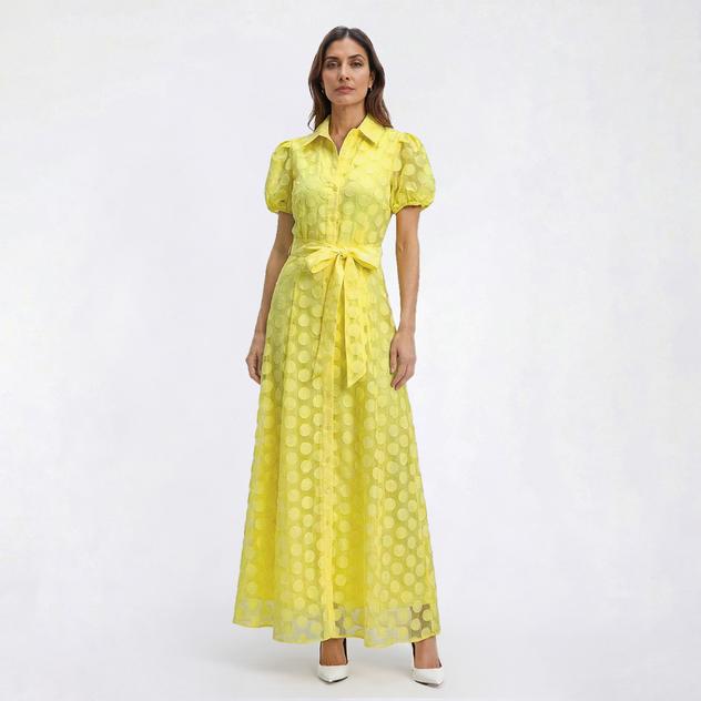 Womens Sandra Darren Short Sleeve Burnout Dot Shirtdress