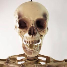 Northlight Seasonal 5ft. Life Size Skeleton Halloween Decoration