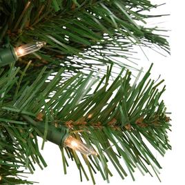Northlight Seasonal 36in. Mixed Beaver Pine Christmas Wreath