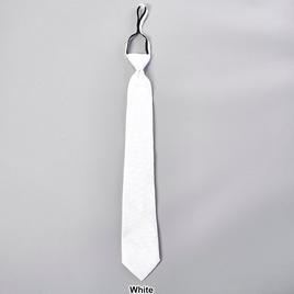 Mens Architect® Arc Solid Zipper Tie