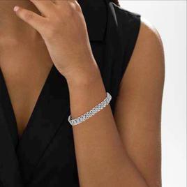 Haus of Brilliance 1/4ctw. Double Row S-Link Bracelet