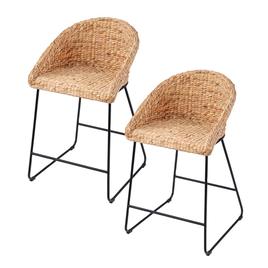 Southern Enterprises 2pc. Landrine Water Hyacinth Counter Stools